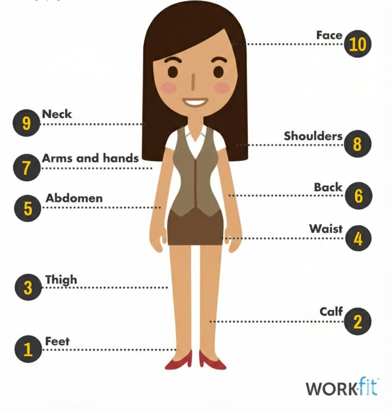 parts of the human body