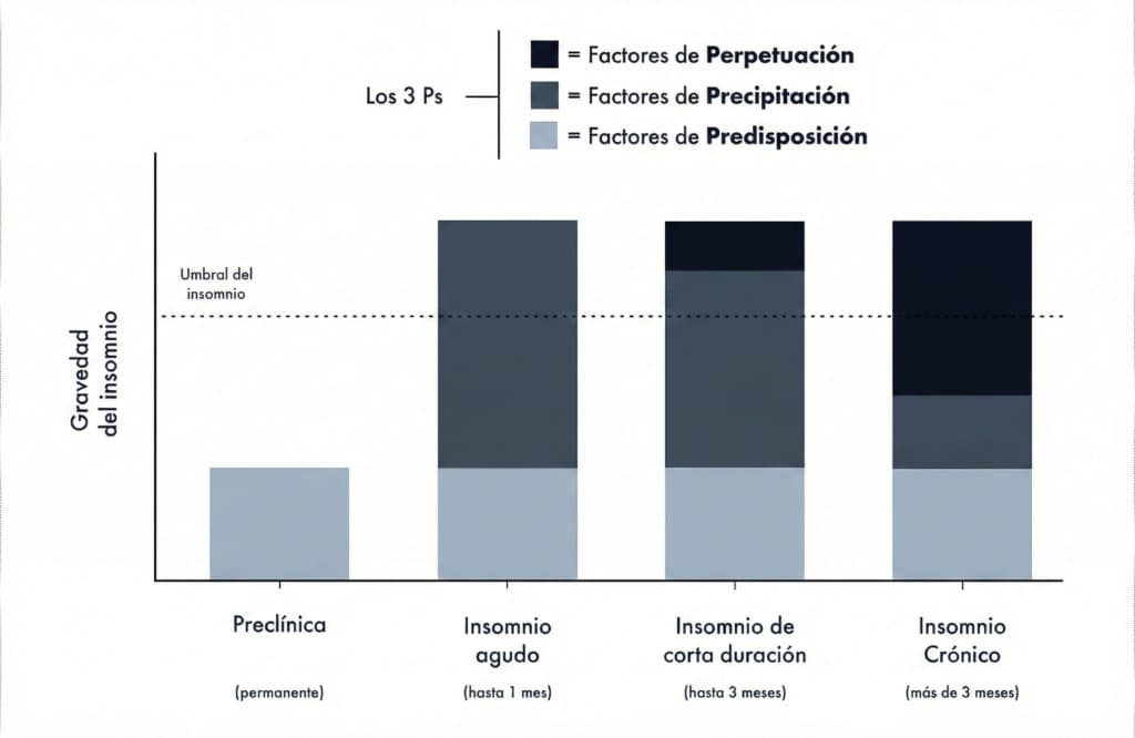 Modelo que explica las etapas y factores del insomnio de Spielman