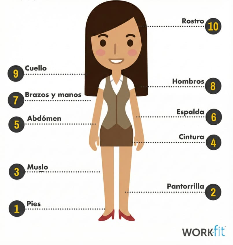 Sugerencia de grupos musculares para la práctica de relajación